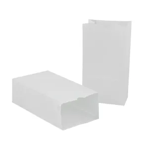 #20894 WHITE PAPER BAGS SIZE 6 100PK